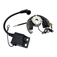 Stator + Rotor + Ignition Coil Kit (RMS900-107608)
