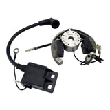 Stator + Rotor + Ignition Coil Kit (RMS900-107608)