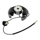 Stator + Rotor + Ignition Coil Kit (RMS900-107608)