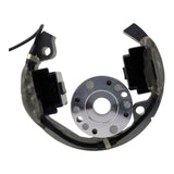 Stator + Rotor + Ignition Coil Kit (RMS900-107608)