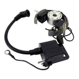 Stator + Rotor + Ignition Coil Kit (RMS900-107608)
