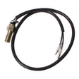 WMP SWITCH FR BRAKE HYDRAULIC 10X1.25MM