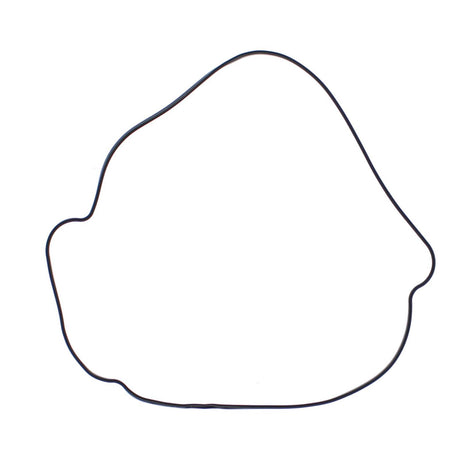 Outer Clutch Gasket Kit 817987