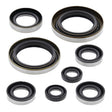 Oil Seal Kit 822274