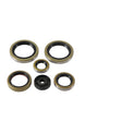 Oil Seal Kit 822370