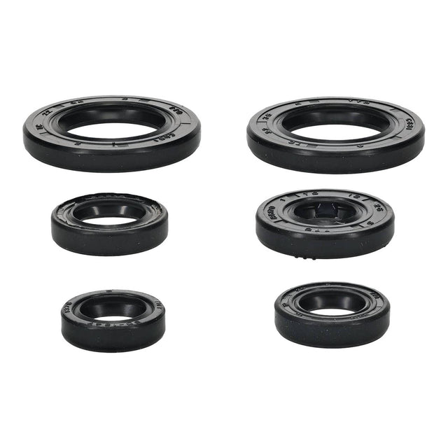 Oil Seal Kit 822391