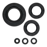 Oil Seal Kit 822997