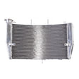 Whites Radiator Honda CBR600RR '03-'06
