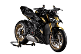 Streetfighter V4 S 100
