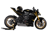 Streetfighter V4 S 100